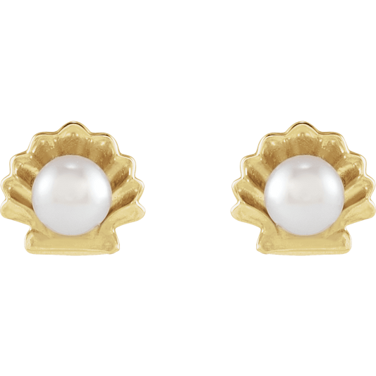 Pearl Seashell Earrings